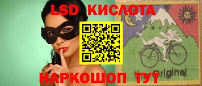 гашик Аргун