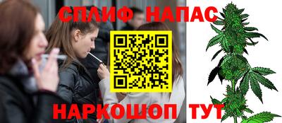 гашик Аргун