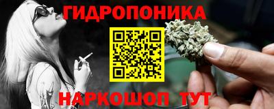 гашик Аргун
